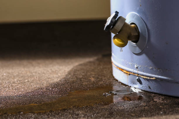 Best Water damage cleanup near me  in Palm Springs, CA