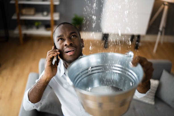 Best Professional water damage repair  in Palm Springs, CA