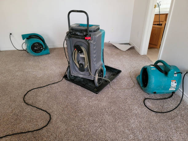 Carpet water damage restoration in Palm Springs, CA