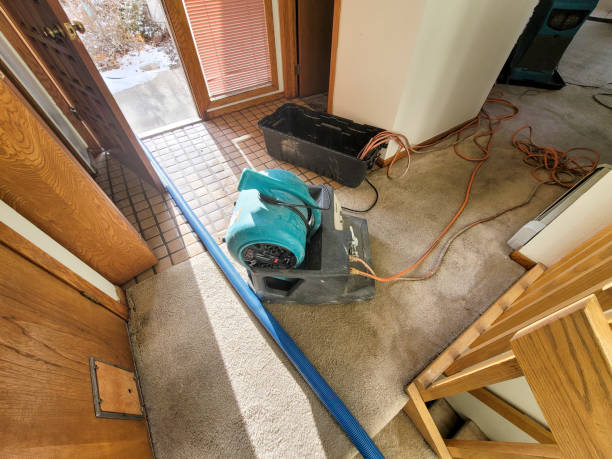 Best Basement water damage restoration  in Palm Springs, CA