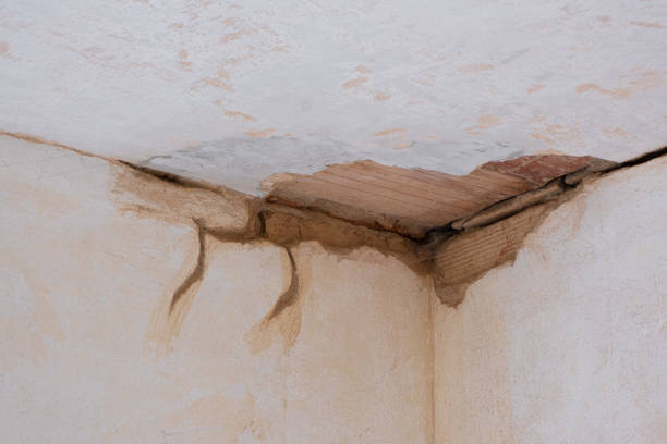 Best 24/7 water damage repair  in Palm Springs, CA