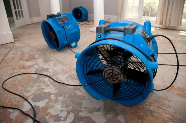 Best Carpet water damage restoration  in Palm Springs, CA