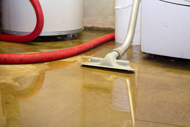 Best Carpet water damage restoration  in Palm Springs, CA